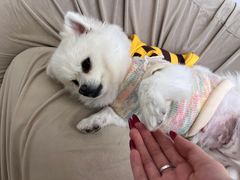 -怪兽屋·羊驼·猫咖·狗咖(俊华广场店)