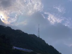 -李子坝梁山鸡(李子坝大鸡哥店)