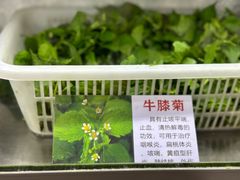 -黔府豆米火锅野菜馆(南马店)