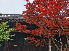 -浙江省博物馆(孤山馆区)