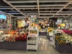 -宜家家居(四元桥商场店)