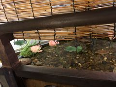 -东道煮牛肉火锅(重庆路店)