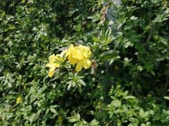 -贵阳市花溪国家城市湿地公园