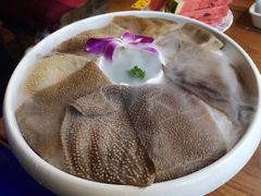 红牌招牌毛肚-红牌美蛙鱼头火锅(万辉国际广场店)