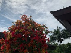 -石梅湾艾美度假酒店