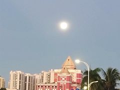 -万绿园