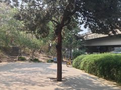 -元大都城垣遗址公园