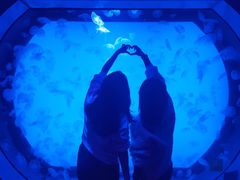 -沈阳海洋探索中心