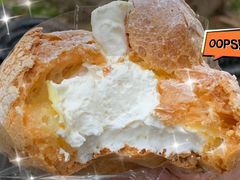 -华农酸奶(五山直营店)