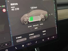 -TESLA 特斯拉(郑州正弘城体验店)