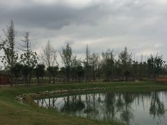 -白鹭湾湿地公园