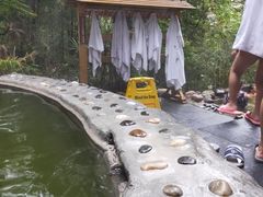 -花水湾第一村温泉大酒店