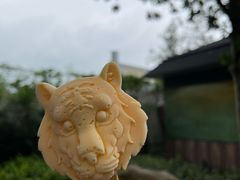 -杭州野生动物世界