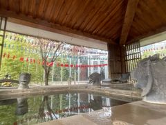 -中家鑫园温泉酒店鑫悦汤泉