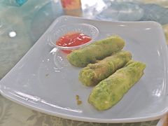 -广东惠东海龟国家级自然保护区