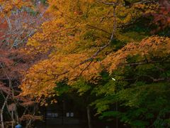 -醍醐寺