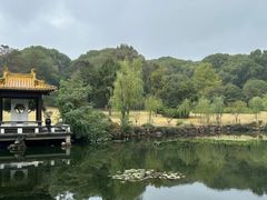 -太湖饭店·寄畅轩中餐厅
