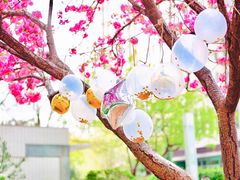 -伊顿幼儿园(济南大地锐城校区)