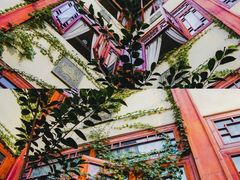 -松云泽