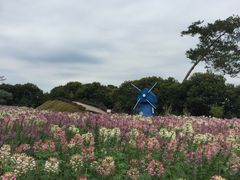 -广州市流溪河国家森林公园