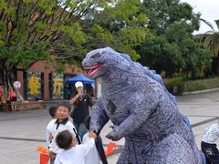 -世界恐龙谷景区