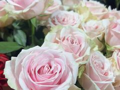 -何兮花店·气球派对鲜花店(马桥银春路万科城店)