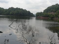 -广州市石门国家森林公园