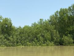 -大湾区中央湿地公园