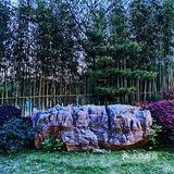 雅致避世的太极禅院，马老师的私人会所