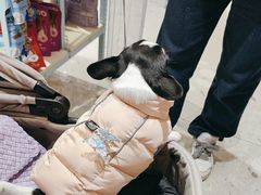 -FAELING PETS美天灵宠物(合生汇店)