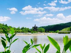 -玉华宫景区