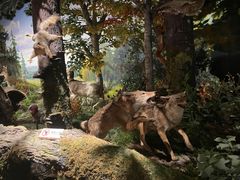 -陕西自然博物馆