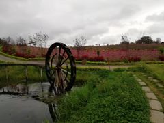 -北纬44度·金珠花海休闲农业旅游景区