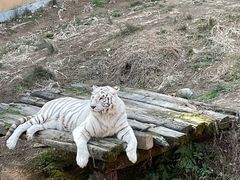 -宁波野生动物园