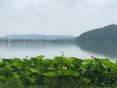 -东湖落雁景区
