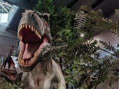 -湖南省地质博物馆