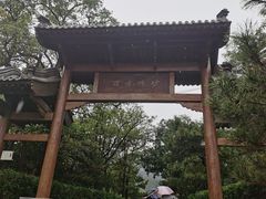 -阳台山自然风景区