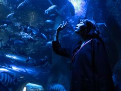 -成都浩海立方海洋公园