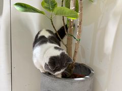 -seeu coffee(江滩店)