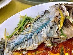 -鸿达渔港