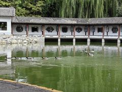 -团结湖公园