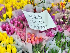 -循礼门鲜花花市(武汉循礼门店)