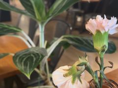 -Simple Yummy简单美味(上邦百汇城店)