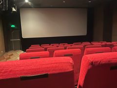 -SFC上影百联影城(八佰伴IMAX店)