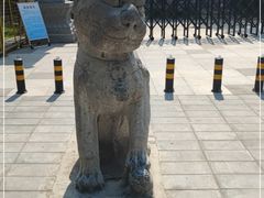 -莲湖公园