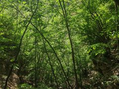 -孤山寨风景区