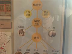 -北京动物园-畅观楼