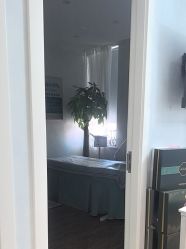 -木棉问题肌·肩颈·纹绣