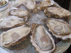 -探窝·竹笙椰子鸡(杨箕店)