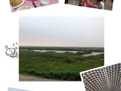 iphone_upload_pic-侬佳蒸菜馆(听潮店)